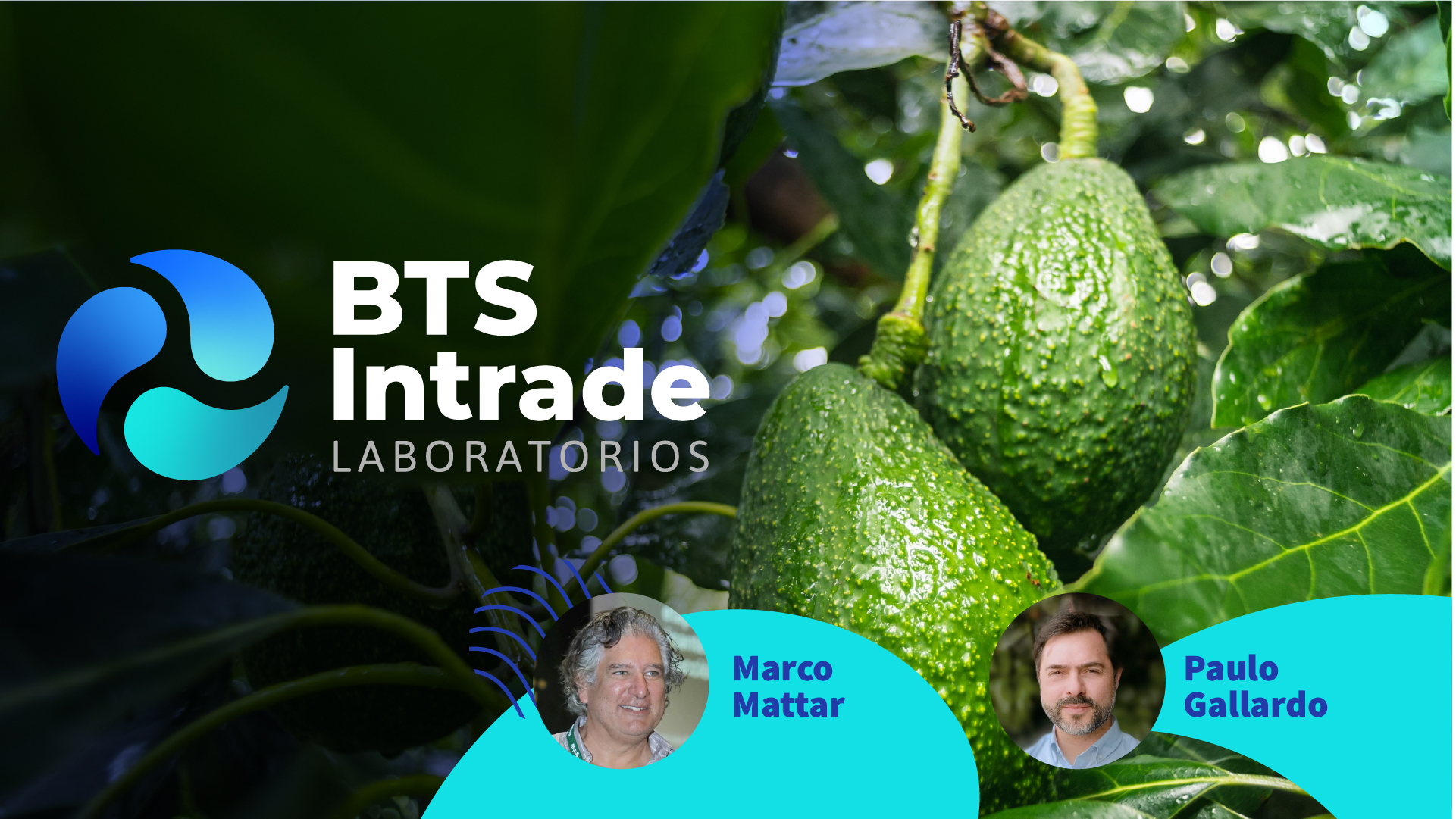 BTS_LANDING_WEBINAR-100